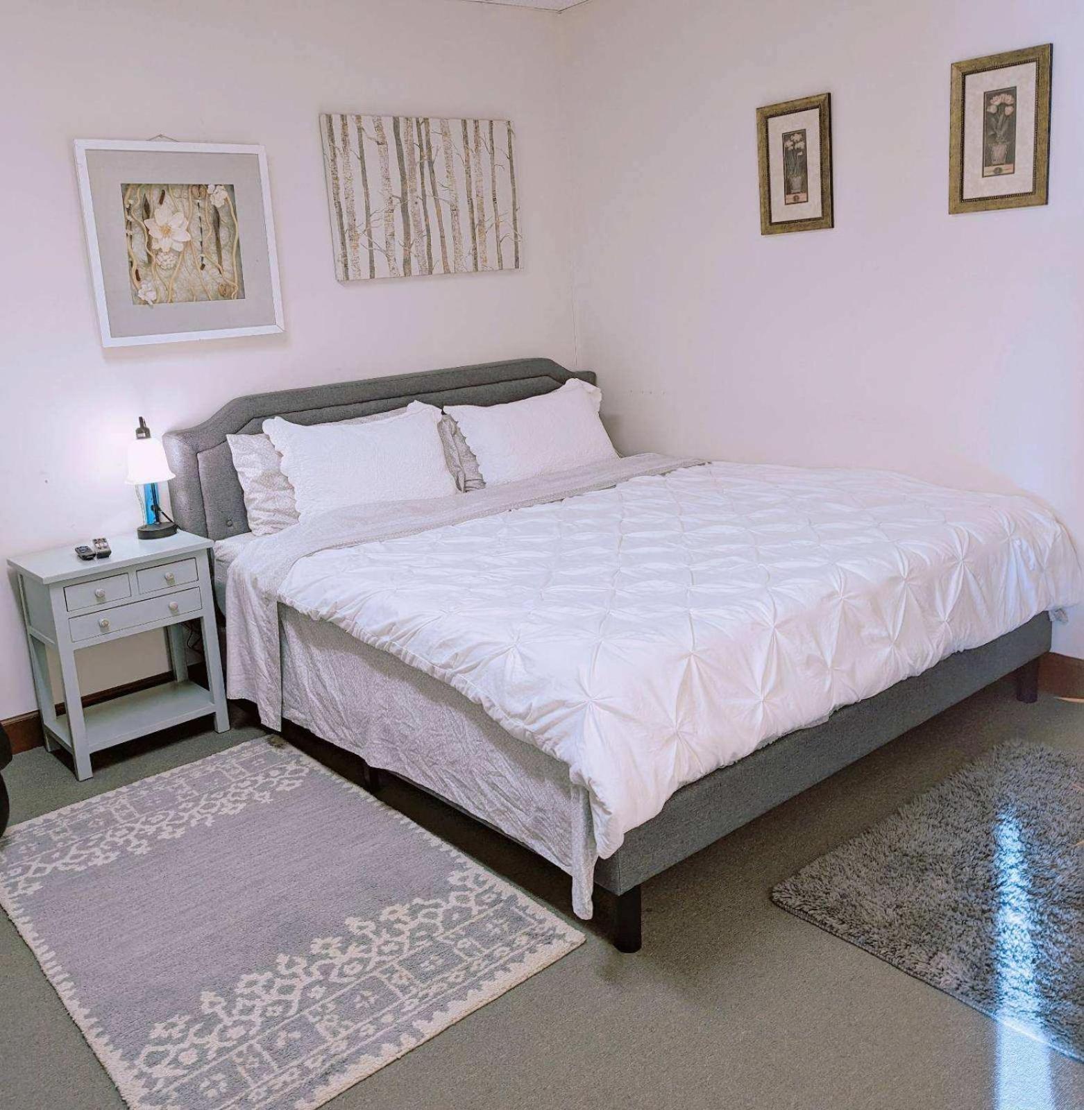 Uptown Area, Cozy King Suite, Quiet And Private, Free Parking, Walk To Restaurants Charlotte Esterno foto